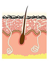 DÃ‰CAAR Algae Peel